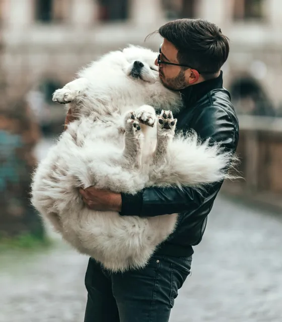 Caring for pets at Pawlington